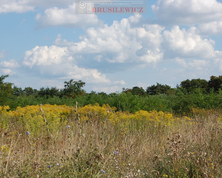 Działka Sprzedaż Wawrów