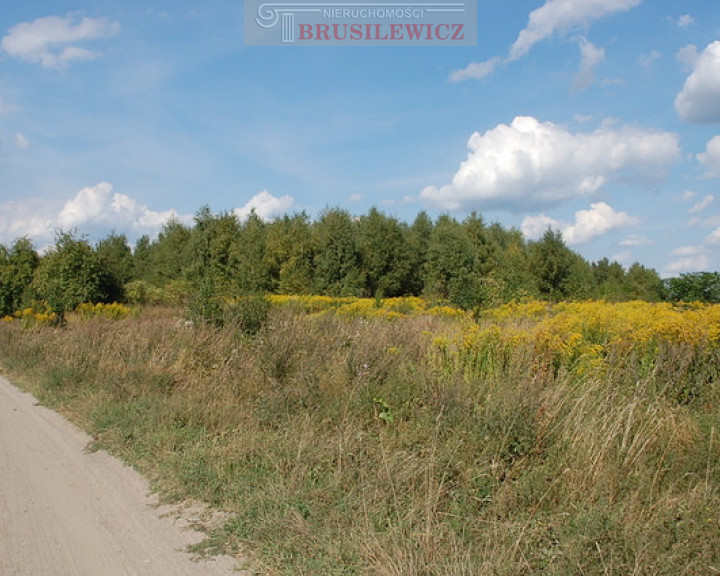 Działka Sprzedaż Wawrów