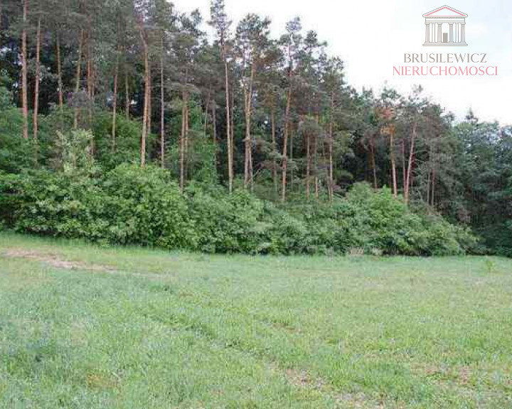 Działka Sprzedaż Stanowice