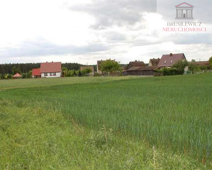 Działka Sprzedaż Stanowice