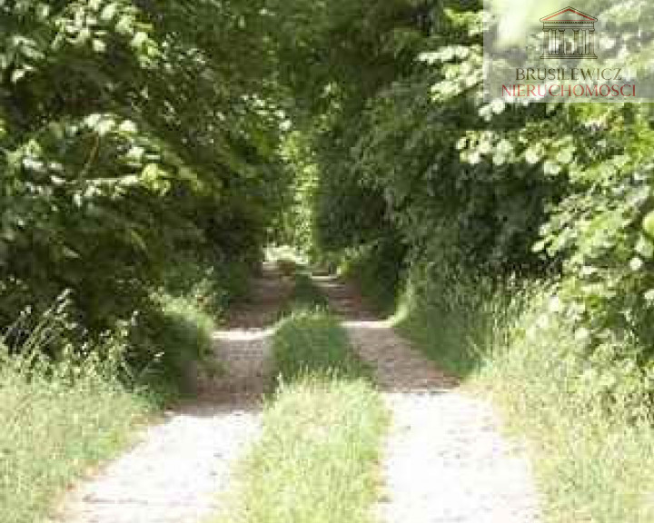 Działka Sprzedaż Stanowice