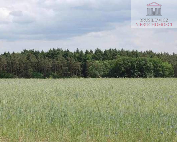 Działka Sprzedaż Stanowice