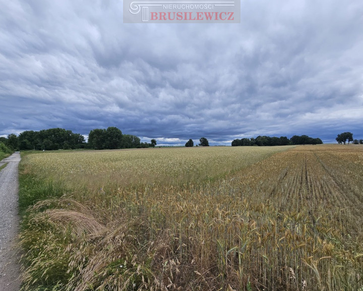 Działka Sprzedaż Wojcieszyce