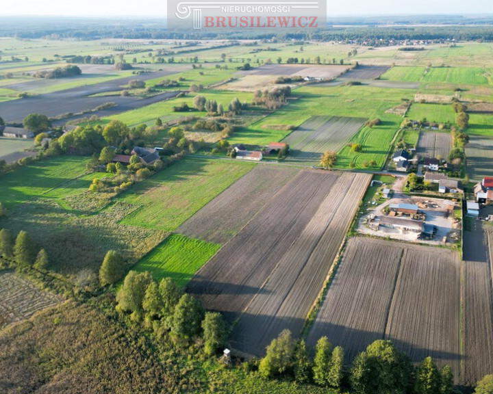 Działka Sprzedaż Ściechów