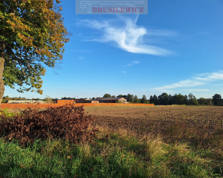 Działka Sprzedaż Ściechów