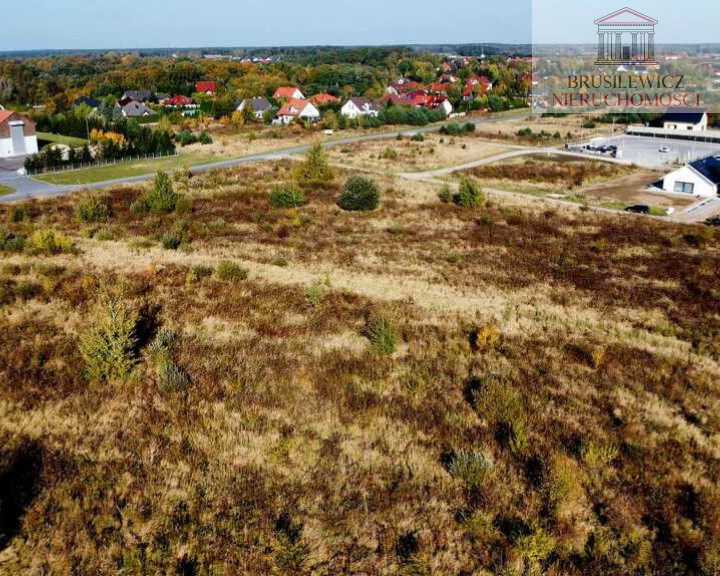 Działka Sprzedaż Kłodawa