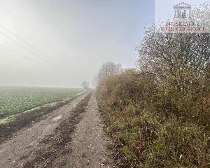 Działka Sprzedaż Ulim