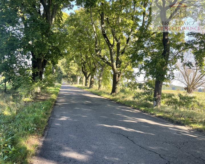 Działka Sprzedaż Pyrzany