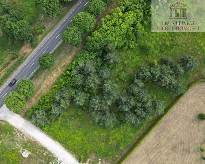 Działka Sprzedaż Różanki