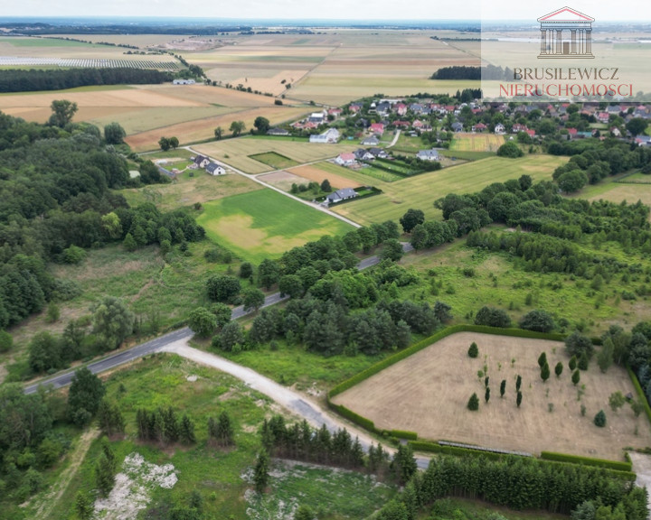 Działka Sprzedaż Różanki