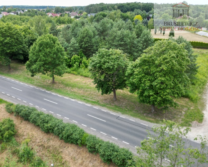 Działka Sprzedaż Różanki