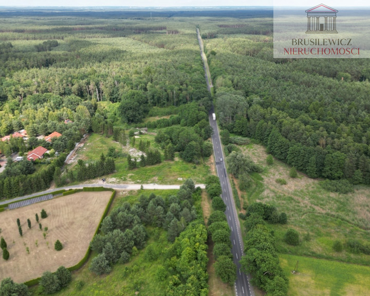 Działka Sprzedaż Różanki