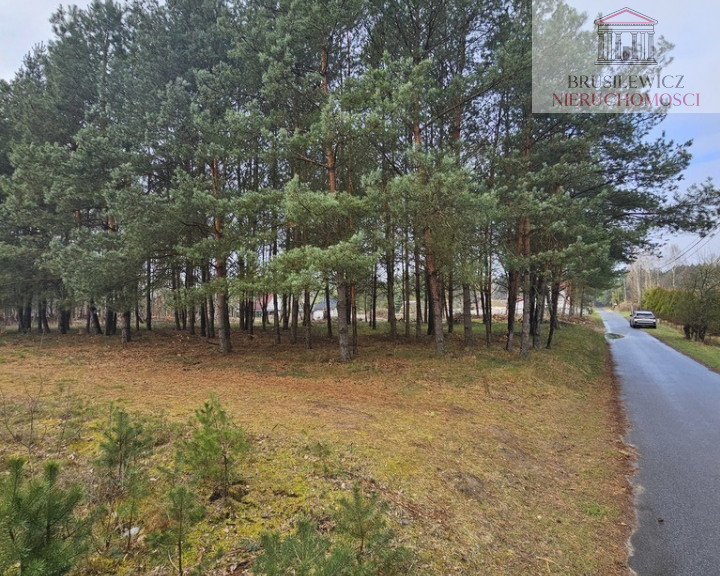 Działka Sprzedaż Rybakowo