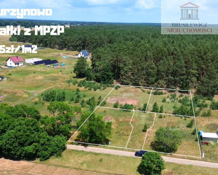 Działka Sprzedaż Murzynowo