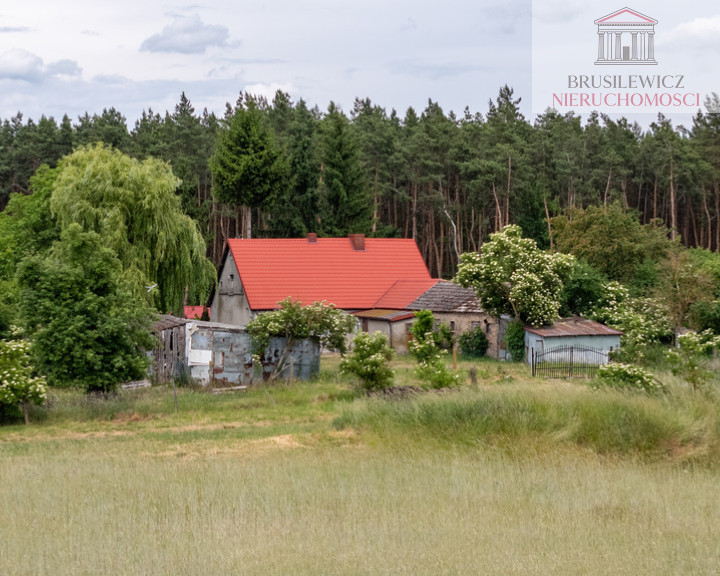 Dom Sprzedaż Mościce