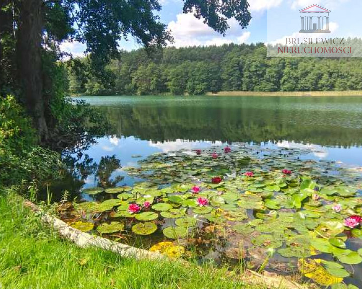 Mieszkanie Sprzedaż Lubiewo