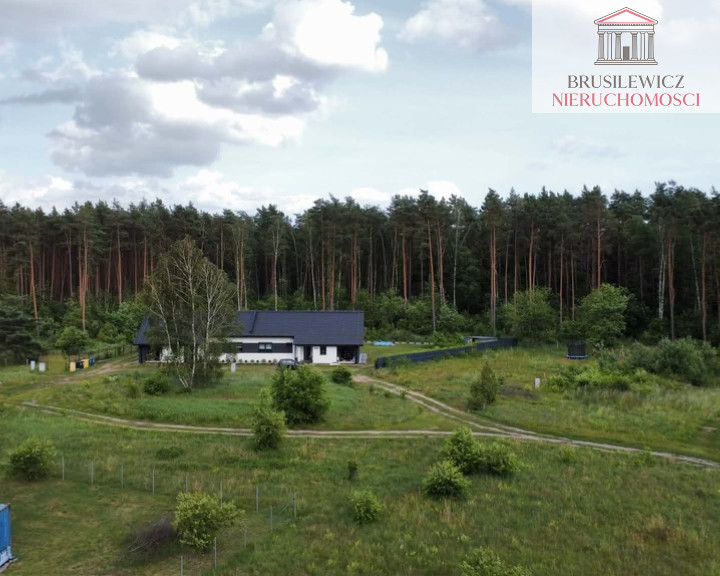 Działka Sprzedaż Skwierzyna Poziomkowa