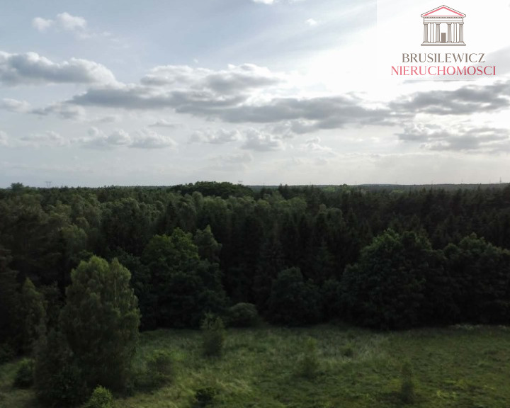 Działka Sprzedaż Skwierzyna Poziomkowa