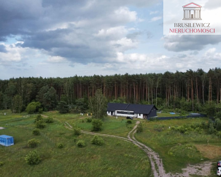 Działka Sprzedaż Skwierzyna Poziomkowa