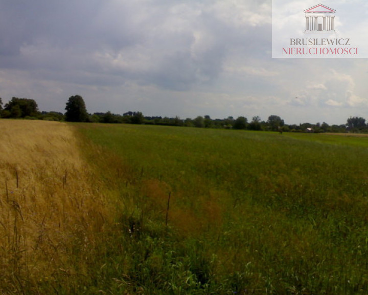 Działka Sprzedaż Gorzów Wielkopolski