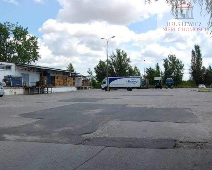 Lokal Wynajem Gorzów Wielkopolski