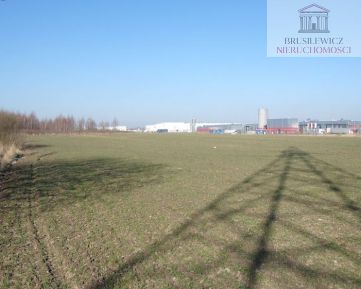 Działka Sprzedaż Gorzów Wielkopolski Chróścik