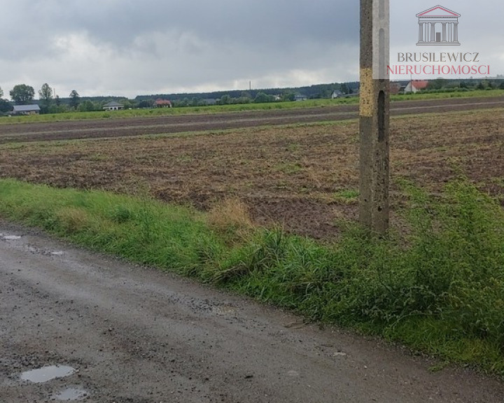 Działka Sprzedaż Gorzów Wielkopolski Zieleniec